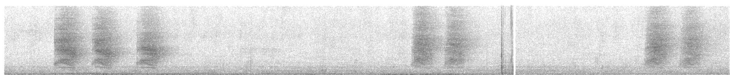 sojka Stellerova - ML647395125