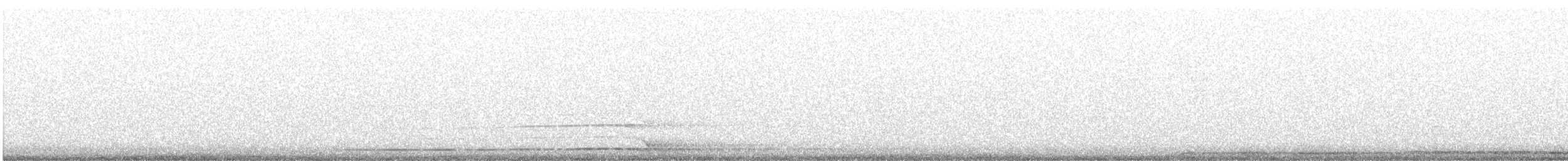 puštík proužkovaný - ML647395196