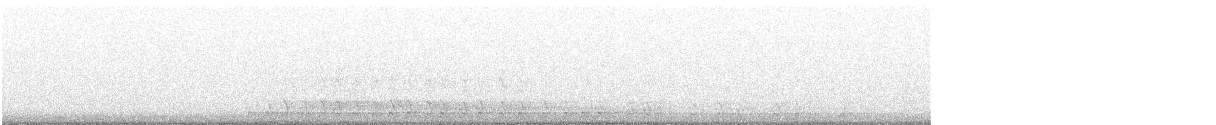 datel chocholatý - ML647395469