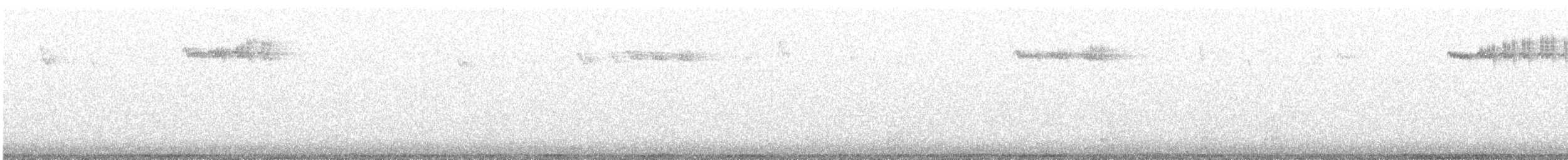 králíček zlatohlavý - ML647395475