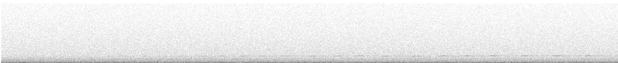 sýc americký - ML647395526