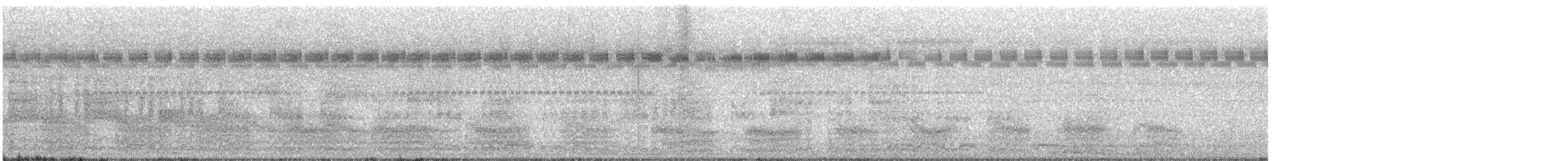 chřástal běloprsý - ML647395545