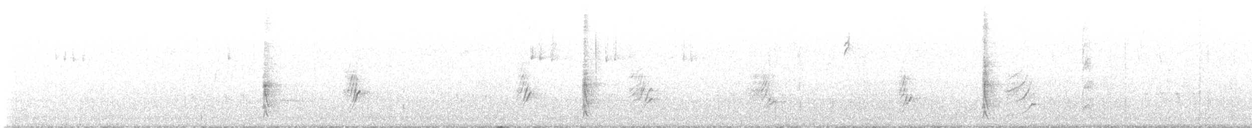 drozdec kalifornský - ML647395688