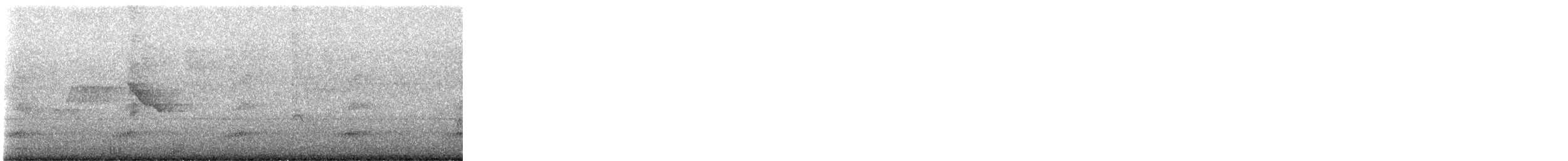 tukan středoamerický - ML647395710