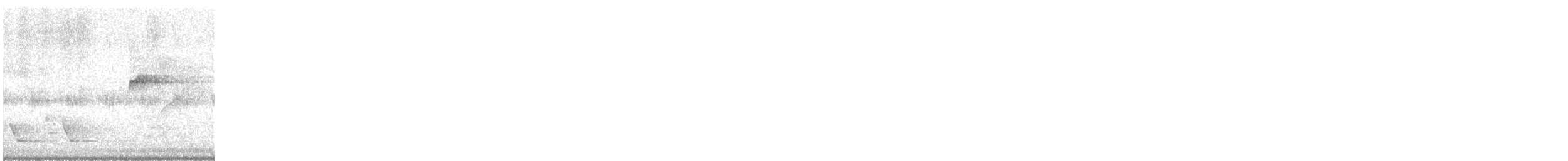 budníček amurský - ML647395752