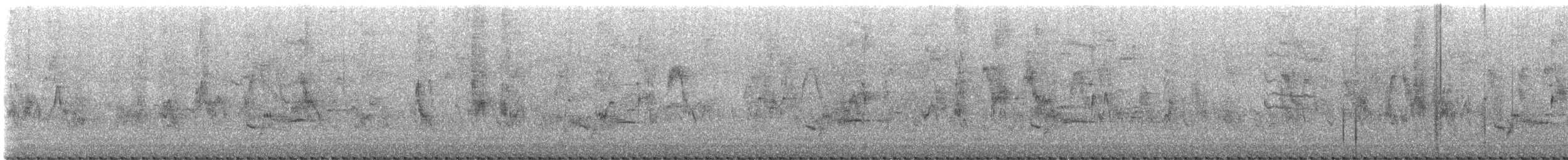 Black Bulbul - ML647395980