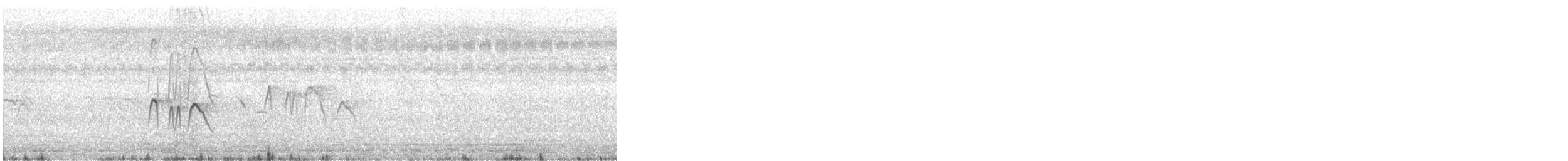 Asian Palm Swift - ML647396075