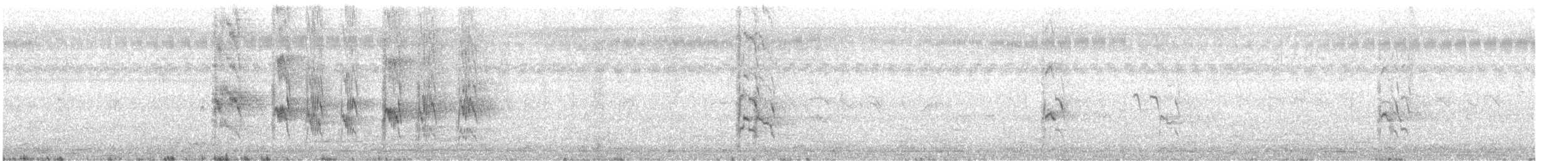 Rose-ringed Parakeet - ML647396105