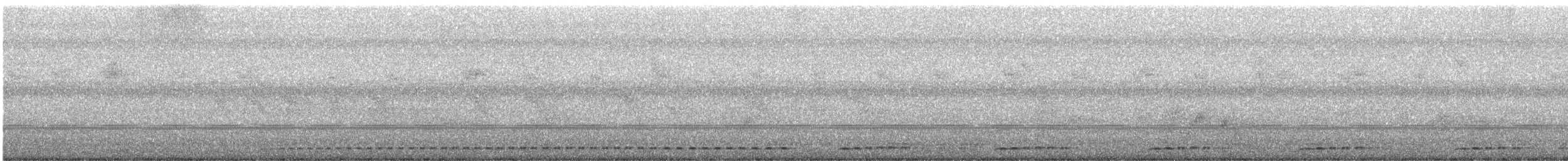 Lineated Barbet - ML647396325