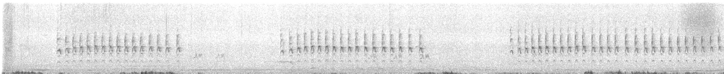 Ashy Prinia - ML647396374