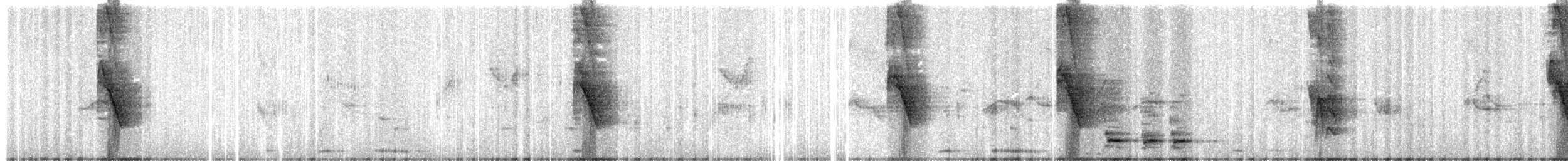 セアカスズメ - ML647396733