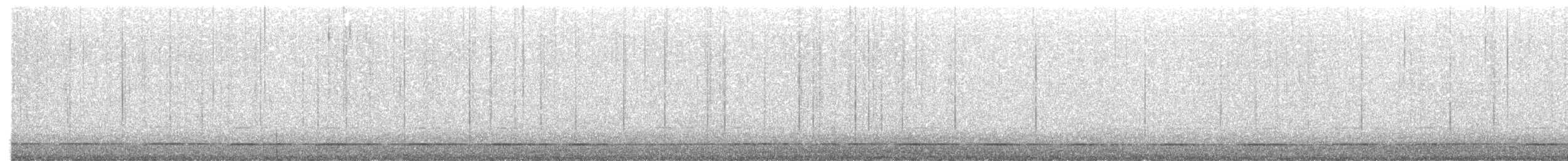 sýc americký - ML647396775