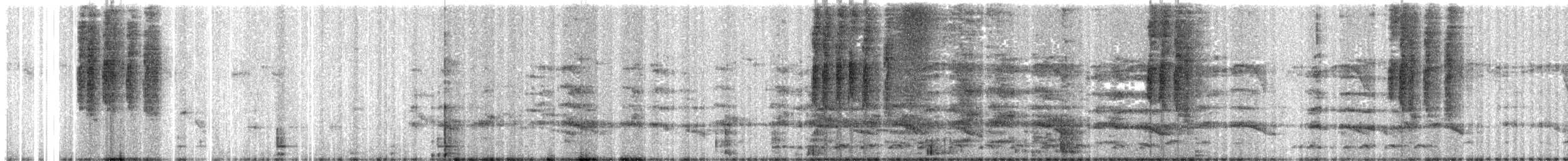 lejsek asijský - ML647396894