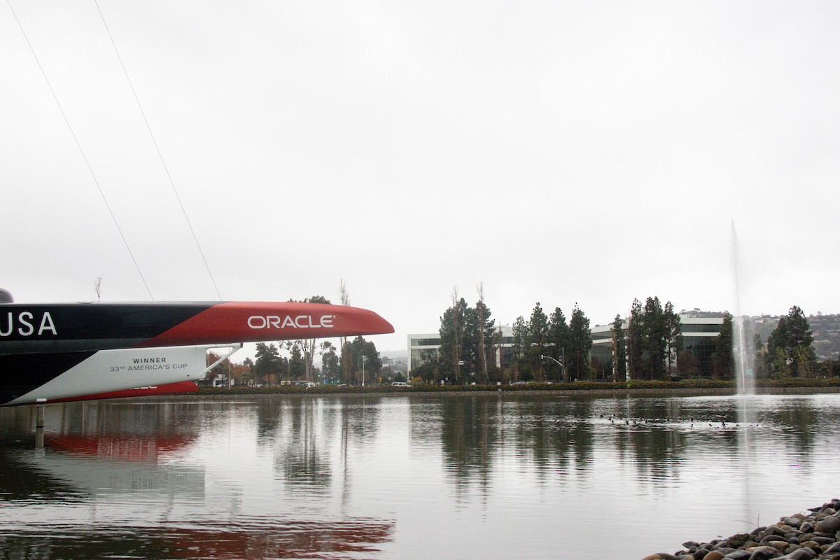 Чернь морська - ML647397264