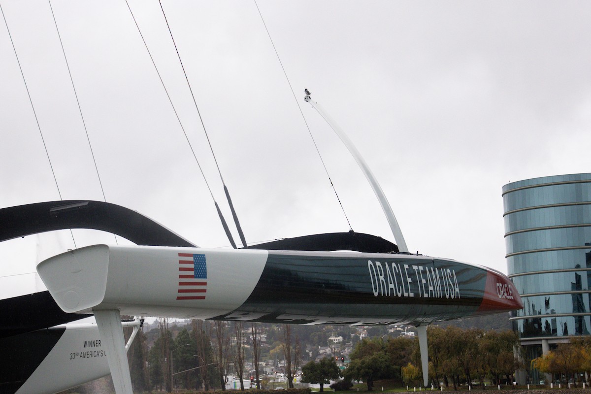 Рибалочка-чубань північний - ML647397269