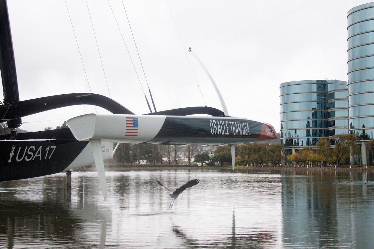 Чапля північна - ML647397270