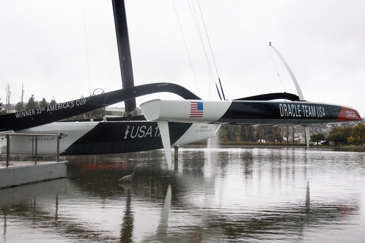 Garza Azulada - ML647397271