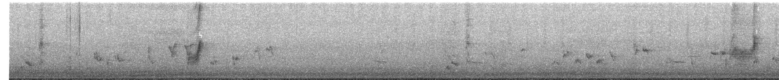 Restless Flycatcher - ML647397342