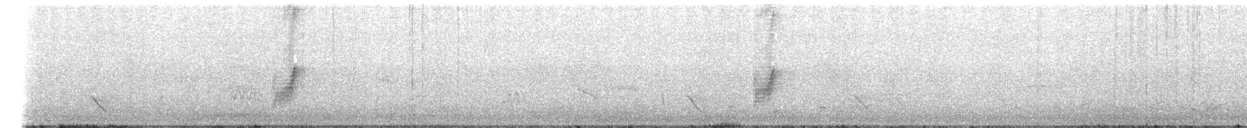 Restless Flycatcher - ML647397442