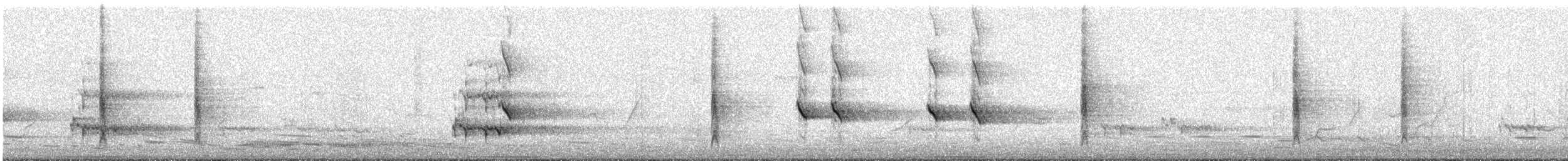 flétňák bělořitý - ML647397603