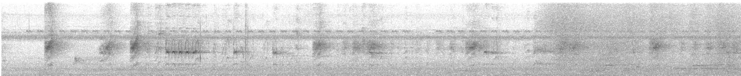 lejskovec rajský - ML647397865