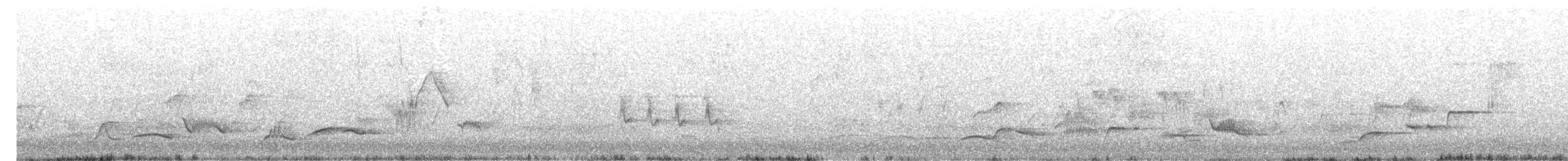 kos černý - ML647397893