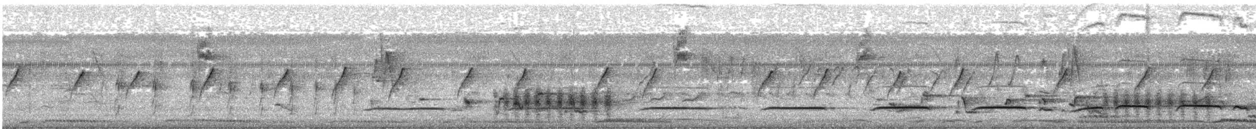 kukačka proužkovaná - ML647398043