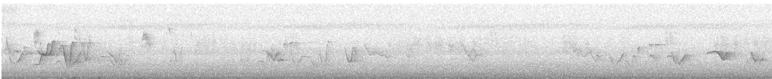 Rufous Whistler - ML647398069