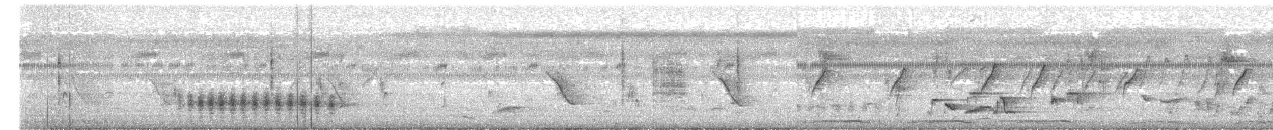 straka toulavá - ML647398083