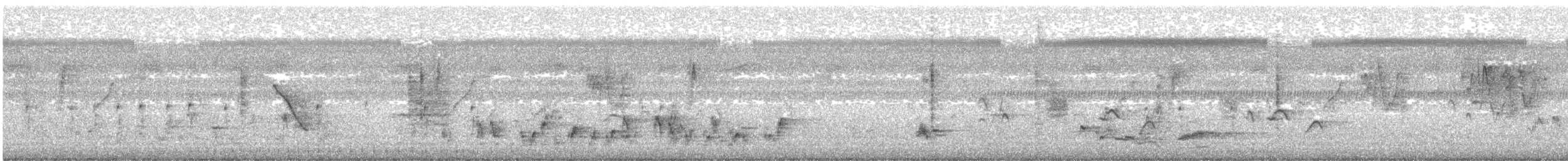 White-browed Bulbul - ML647398182