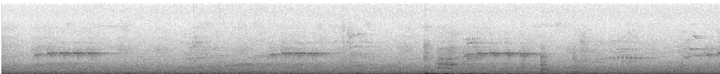 Sacred Kingfisher - ML647398271