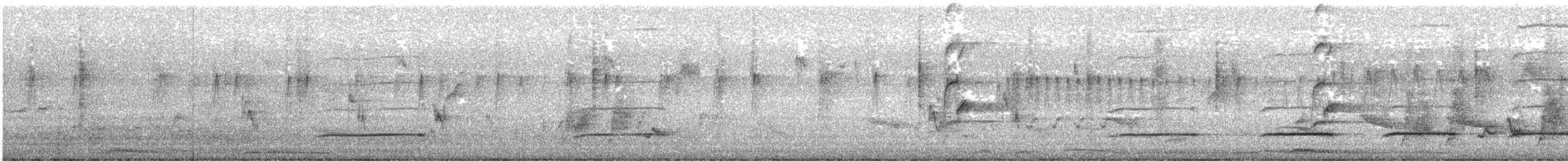 Coucou de Sonnerat - ML647398647