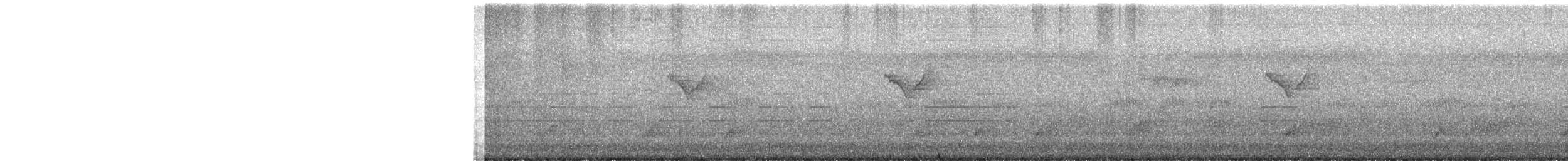 budníček pruhohlavý - ML647398765