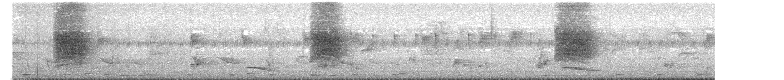 Indian Robin - ML647398894