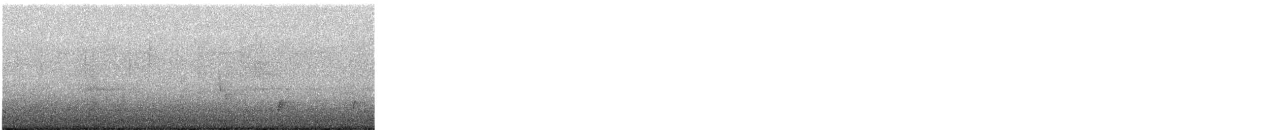 Swainson's Thrush - ML647398988