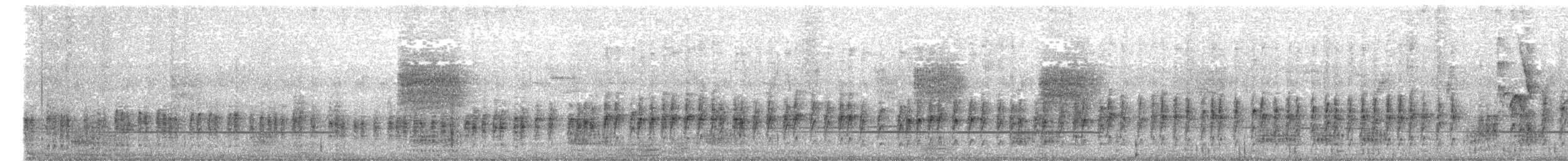 White-browed Bulbul - ML647399137