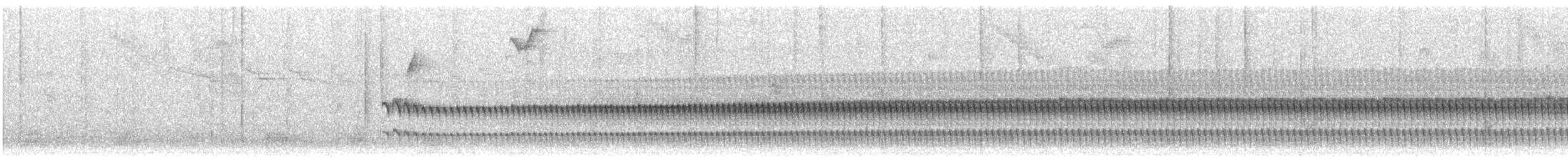 Trilling Tapaculo - ML647399601