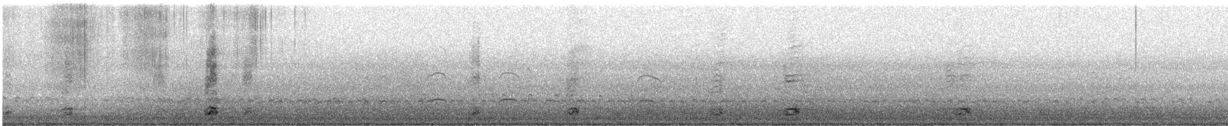 Black-crowned Night Heron - ML647400016