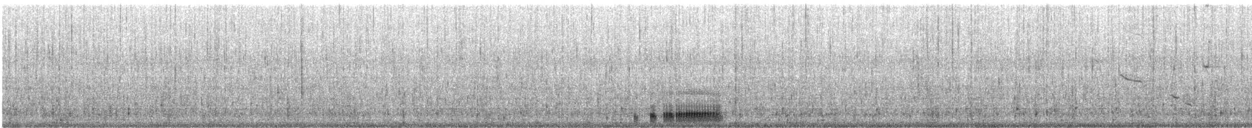 ホオジロオナガガモ - ML647400304