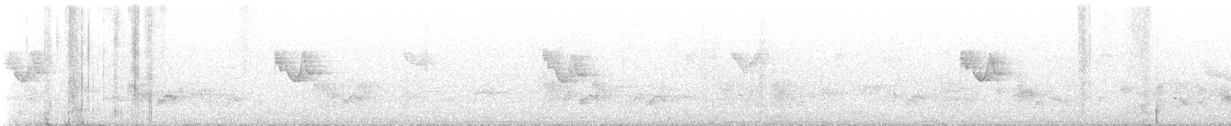 Mosquitero Patigrís - ML647400971