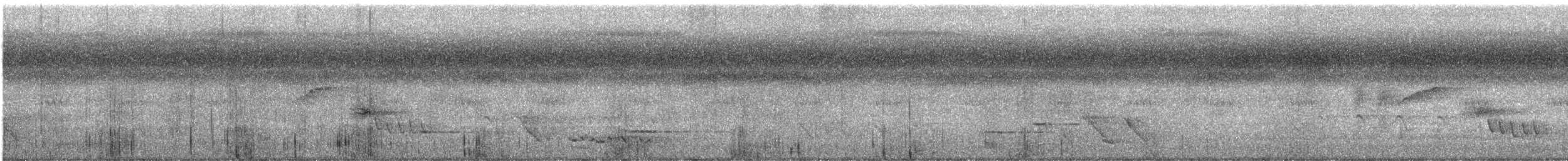 シロハラコウライウグイス - ML647401563