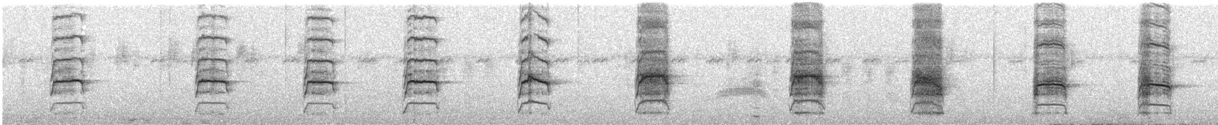 テリクロオウム - ML647402041
