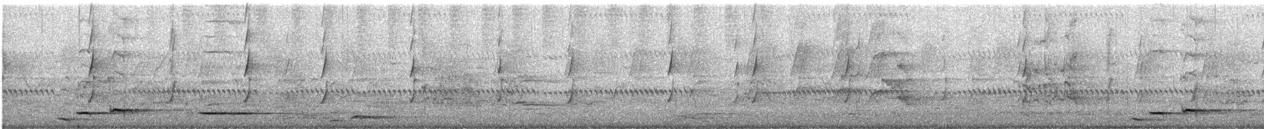 Verdugo Acollarado - ML647402437