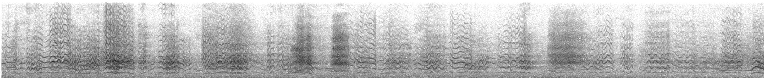 Cacatúa Sanguínea - ML647402444