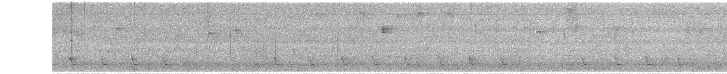 Picaflores Ventrinaranja - ML647402630