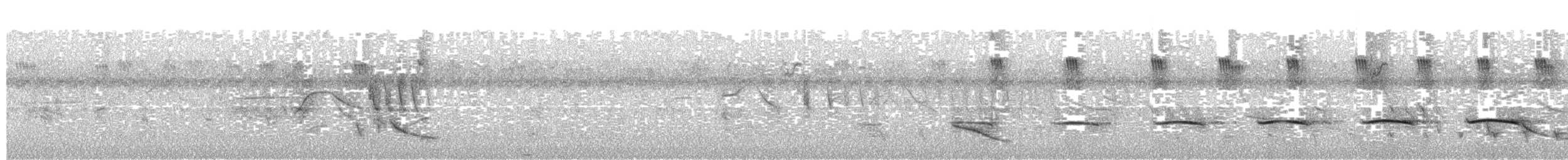 Keklik Tinamusu - ML647403151