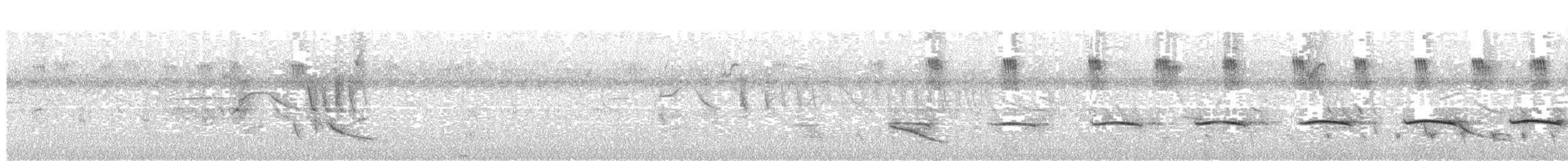 Keklik Tinamusu - ML647403152