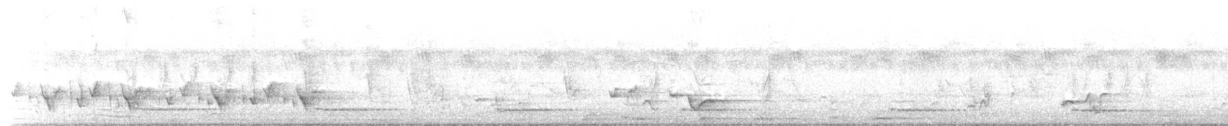 Sarı Alınlı Cüce Barbet - ML647403225