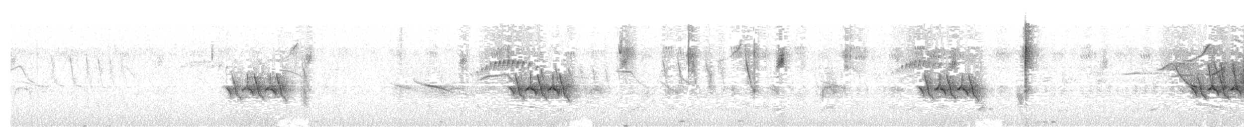 Çok Renkli Çako İspinozu - ML647403280