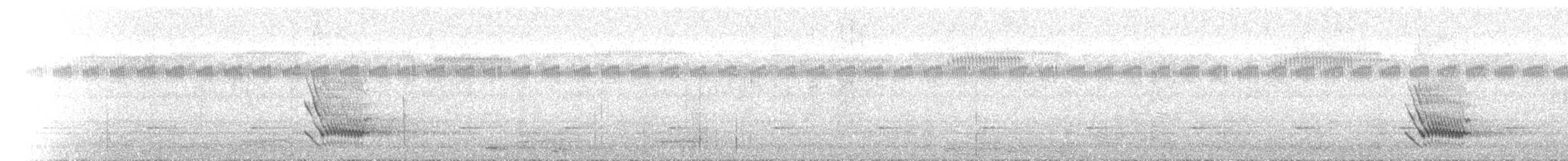 Kara Yüzlü Tırtılyiyen - ML647403345